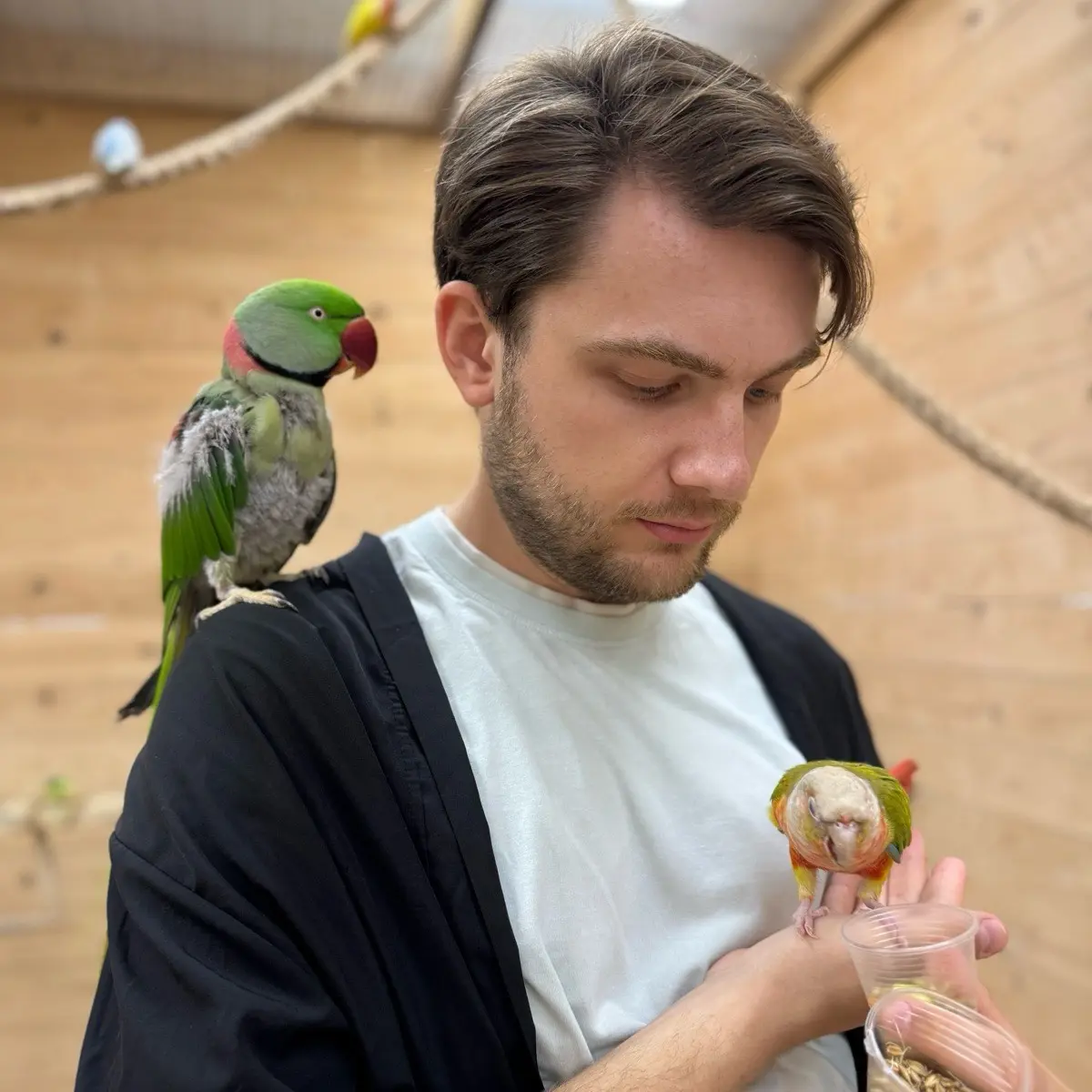 Network member avatar