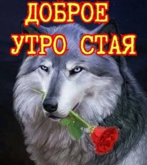 Почему, на мой взгляд, лучшее резюме — это резюме из HeadHunter
Скажу честно, как рекрутер.
Самое удобное, понятное и рабочее резюме — это резюме из HeadHunter | Сетка — социальная сеть от hh.ru