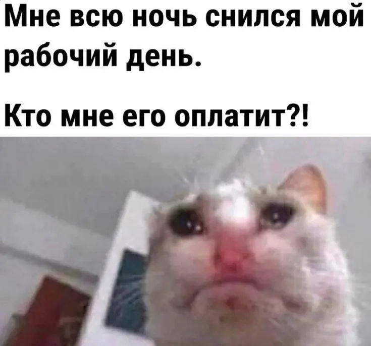 Кто столкнулся с той же проблемой? | Сетка — социальная сеть от hh.ru