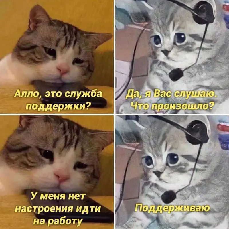 Почему-то редко говорю про то, с чем работаю больше всего: про поддержку продукта.
Сюда входят селфсервисы, боты, сценарии и скрипты для агентов, классификация входящего потока обращений | Сетка — социальная сеть от hh.ru