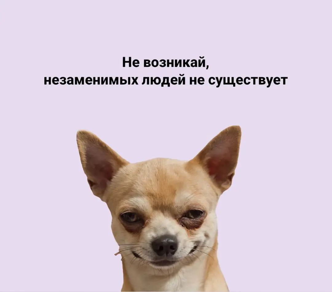 А что-то вечно, как говорится 😁
Коллеги, было?
😅 — было-было
🌚 — пока ни разу | Сетка — социальная сеть от hh.ru