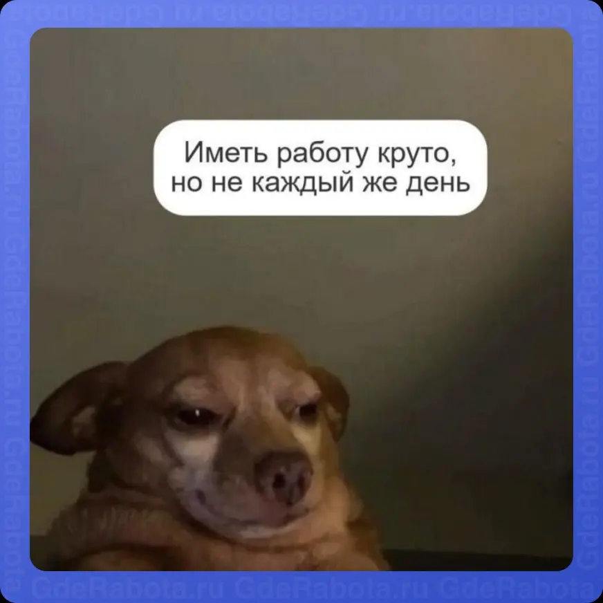 Спокойной рабочей недели 💪
P.s. до весны 12 дней
#работа #вакансии #hr #GdeRabota
Изображение сгенерировано ИИ | Сетка — социальная сеть от hh.ru