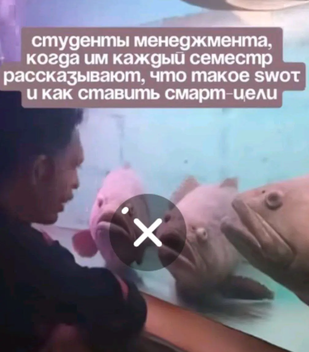 кто в телеге раскатил фичу с крестиком и вечной загрузкой файла ?
не оч заходит | Сетка — социальная сеть от hh.ru
