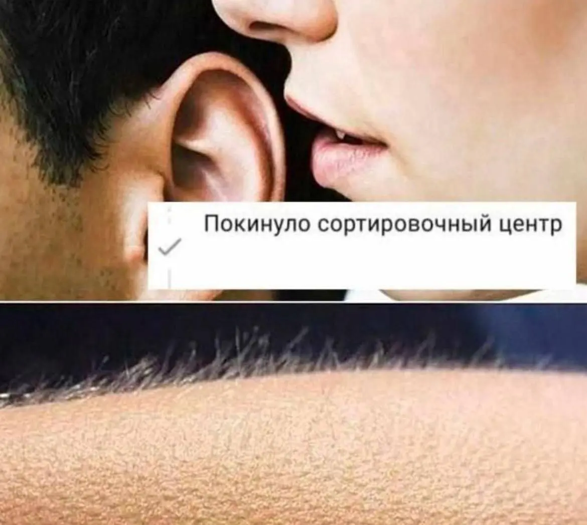 Управление и Торговля | Сетка — социальная сеть от hh.ru