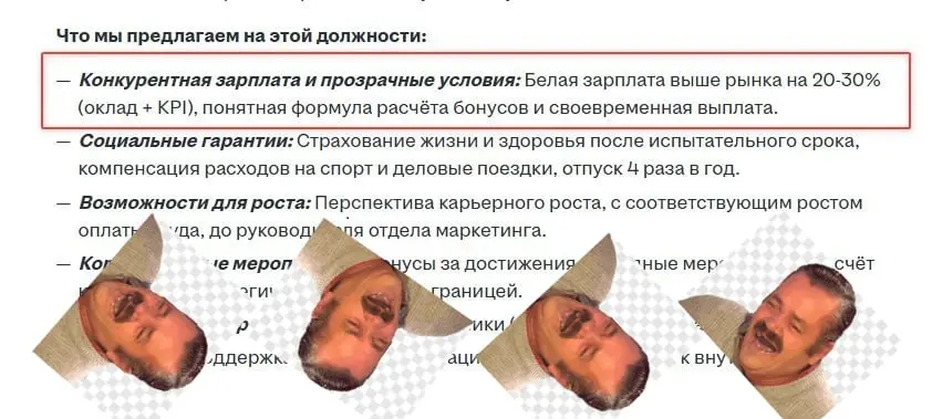 Вьючный мул отдела маркетинга за 90 000 рублей🤭 | Сетка — социальная сеть от hh.ru