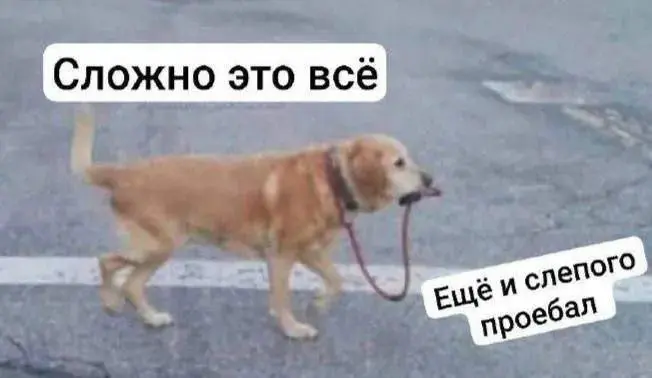 Чисто мои ощущения после отпуска | Сетка — социальная сеть от hh.ru