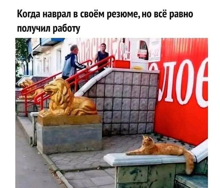 Накрутка опыта | Сетка — социальная сеть от hh.ru