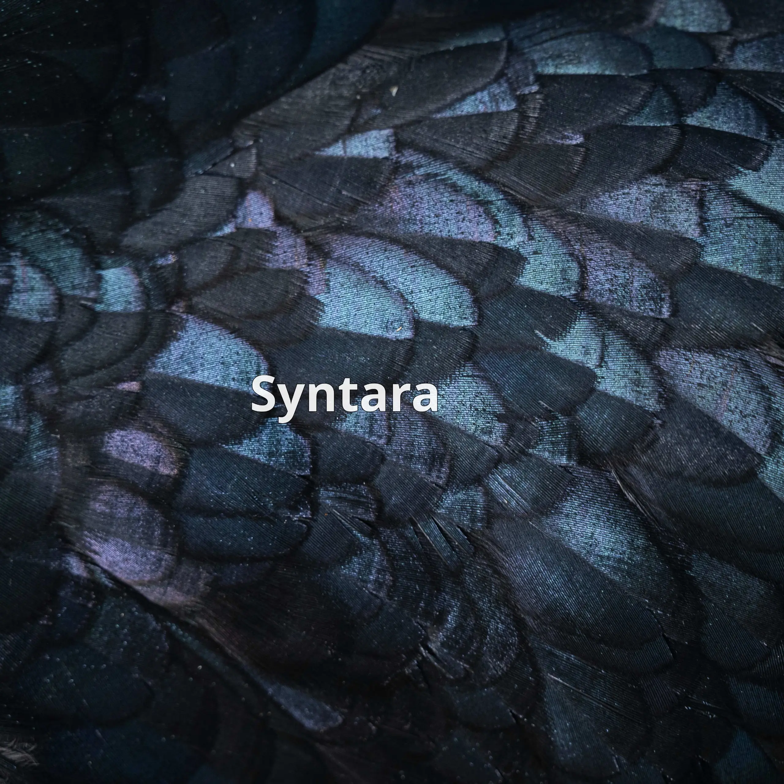 Syntara AI — это умный помощник для трейдеров, который отслеживает более 6000 акций и 350 криптовалют в реальном времени | Сетка — социальная сеть от hh.ru
