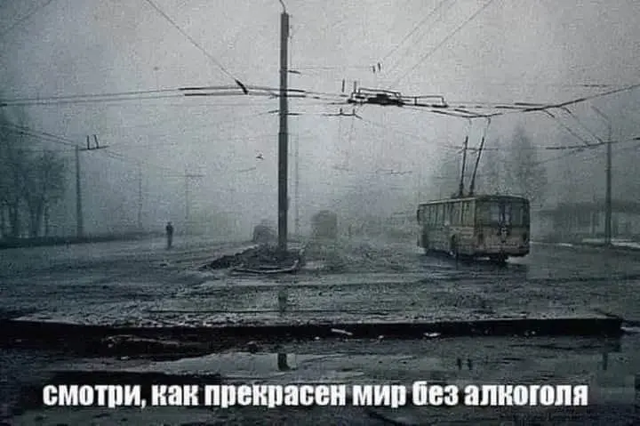 В шушарах | Сетка — социальная сеть от hh.ru