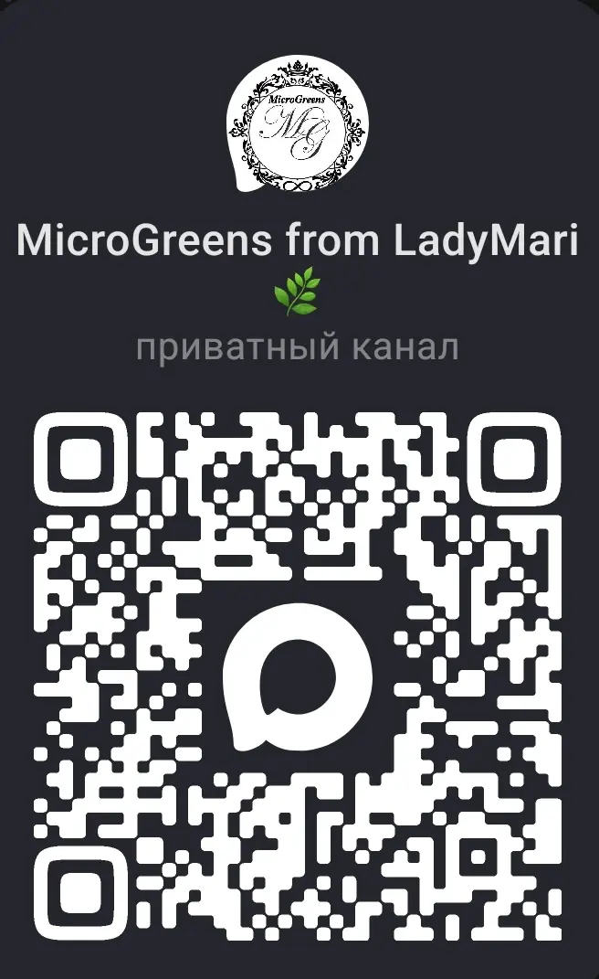 🚀✨ ПРИВЕТ, МОИ ЛЮБИМЫЕ ПОДПИСЧИКИ! ✨ | Сетка — социальная сеть от hh.ru