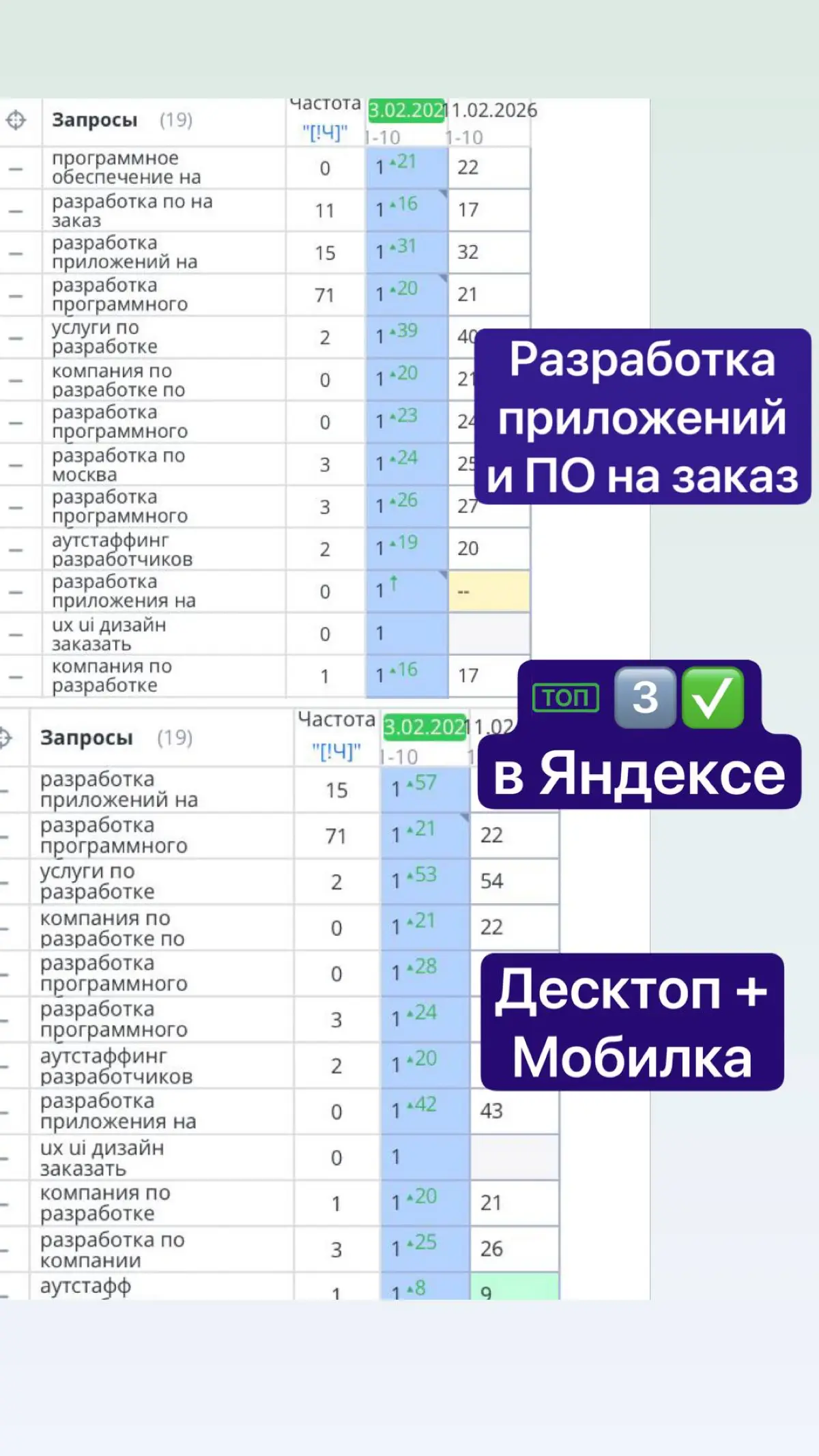 SEO кейс разработка приложений и по на заказ | Сетка — социальная сеть от hh.ru