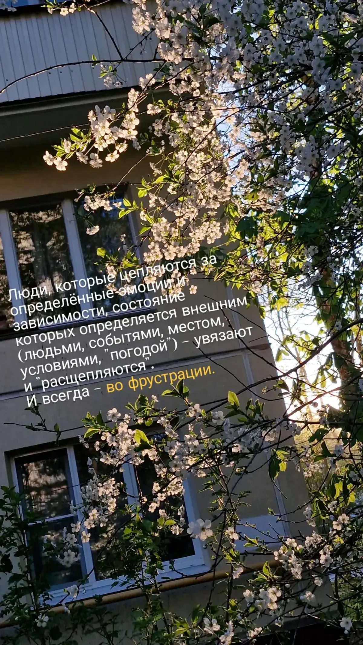 Заметки ❤️
#психология | Сетка — социальная сеть от hh.ru