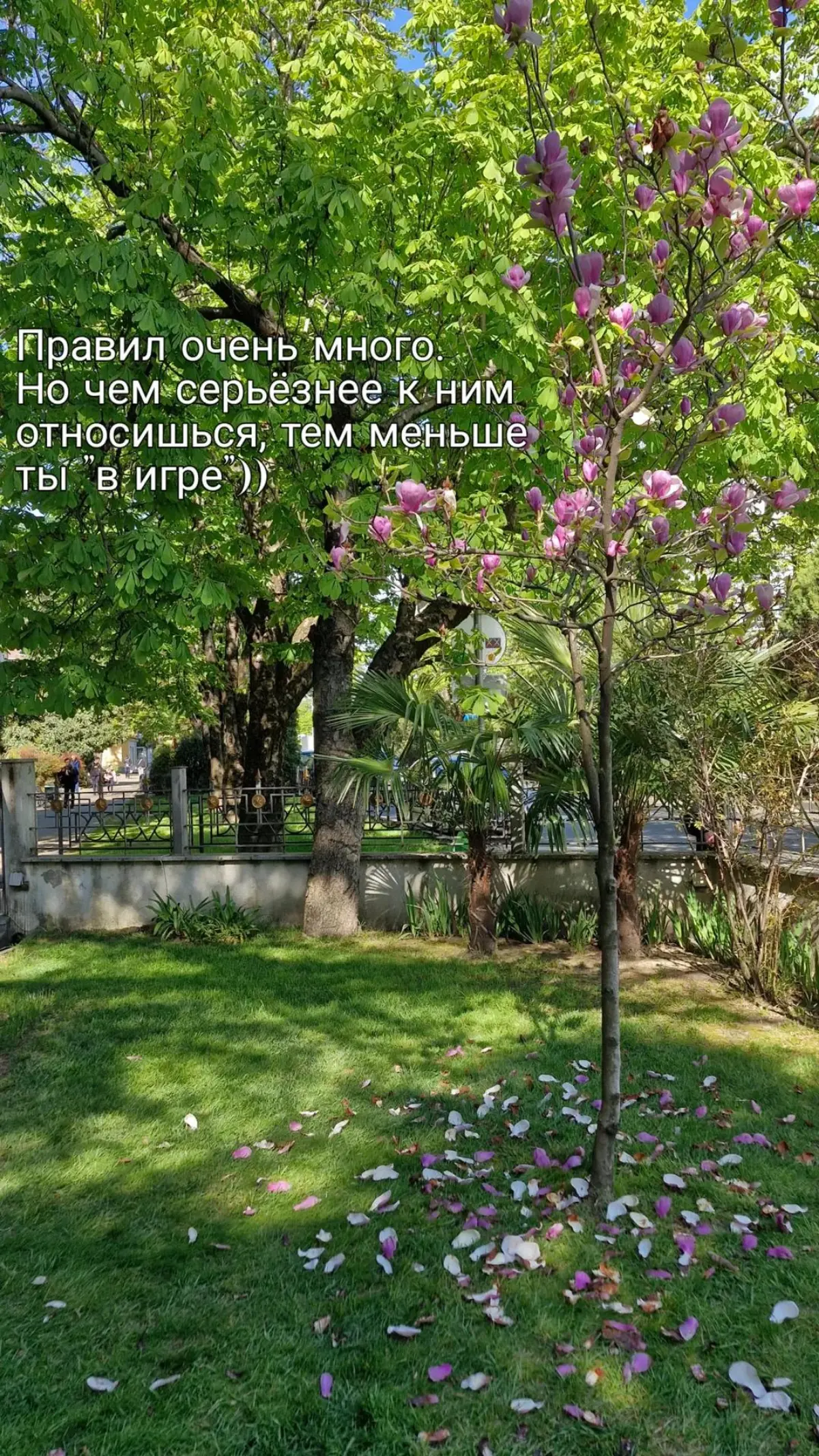 Заметки ❤️
#психология | Сетка — социальная сеть от hh.ru