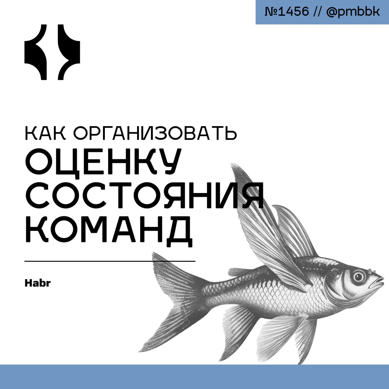 0️⃣ Как организовать оценку состояния команд
Оценка здоровья команды часто превращается в измерение ради измерения: дашборды ломятся от метрик, а понимания реального положения дел не прибавляется | Сетка — социальная сеть от hh.ru