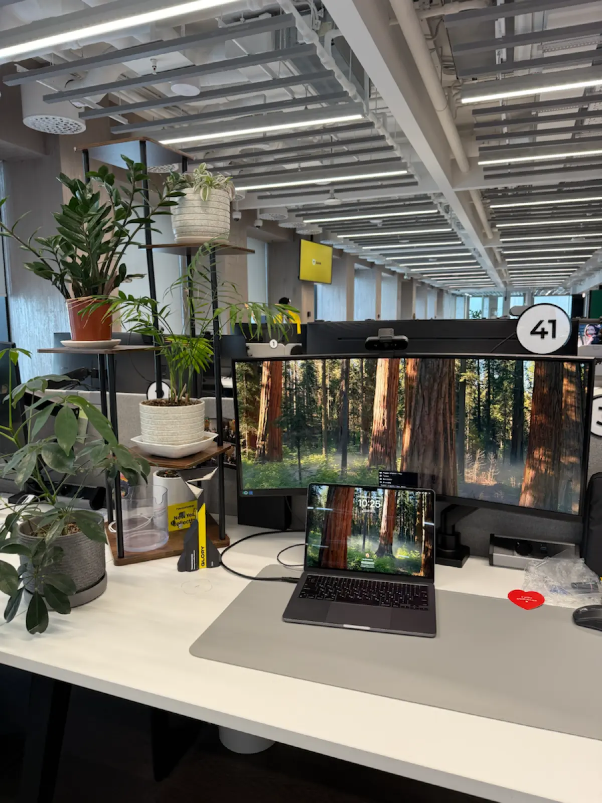 После больничного… | Сетка — социальная сеть от hh.ru