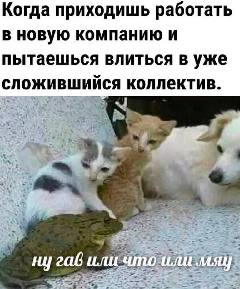 35 вопросов, которые можно задать на собеседовании при поиске руководителя:
1. Как вы делегируете?
2 | Сетка — социальная сеть от hh.ru