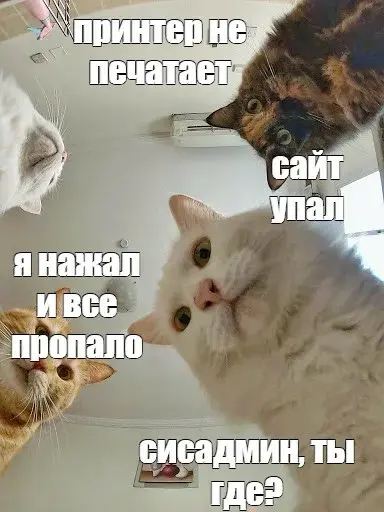 Чем мы заняты | Сетка — социальная сеть от hh.ru