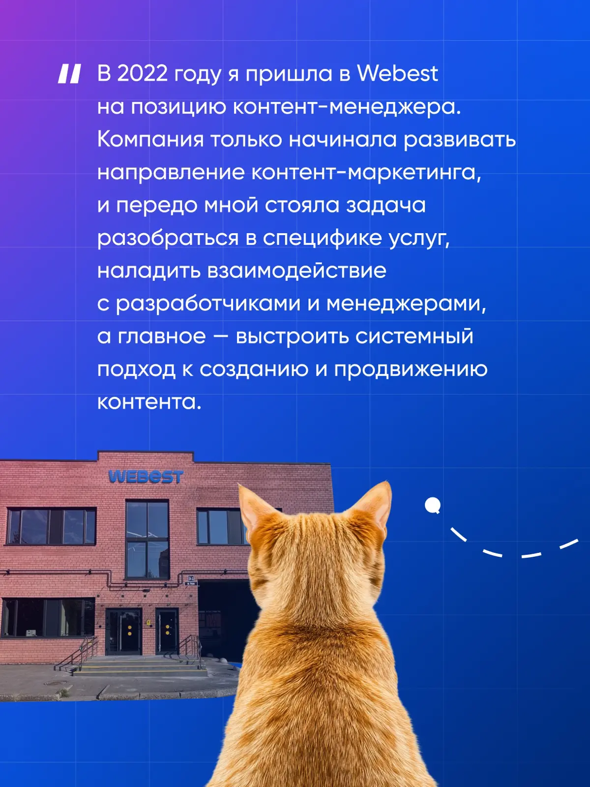 Продолжаем серию карьерных историй | Сетка — социальная сеть от hh.ru