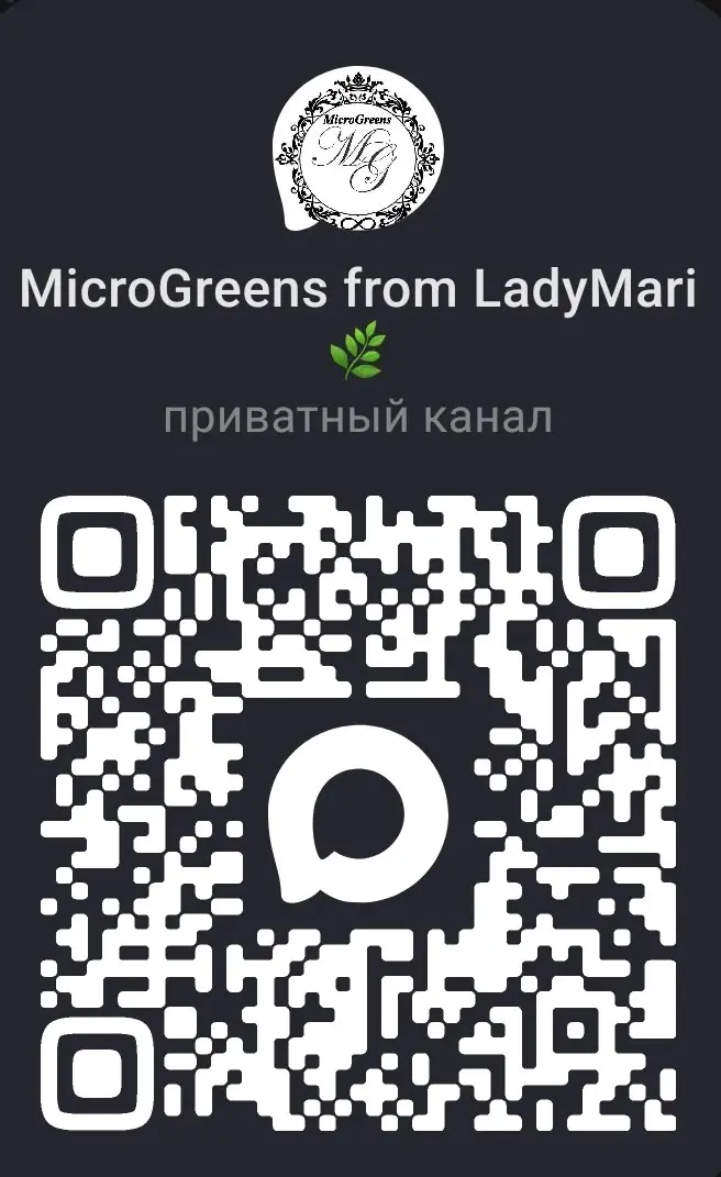 🚀✨ ПРИВЕТ, МОИ ЛЮБИМЫЕ ПОДПИСЧИКИ! ✨ | Сетка — социальная сеть от hh.ru