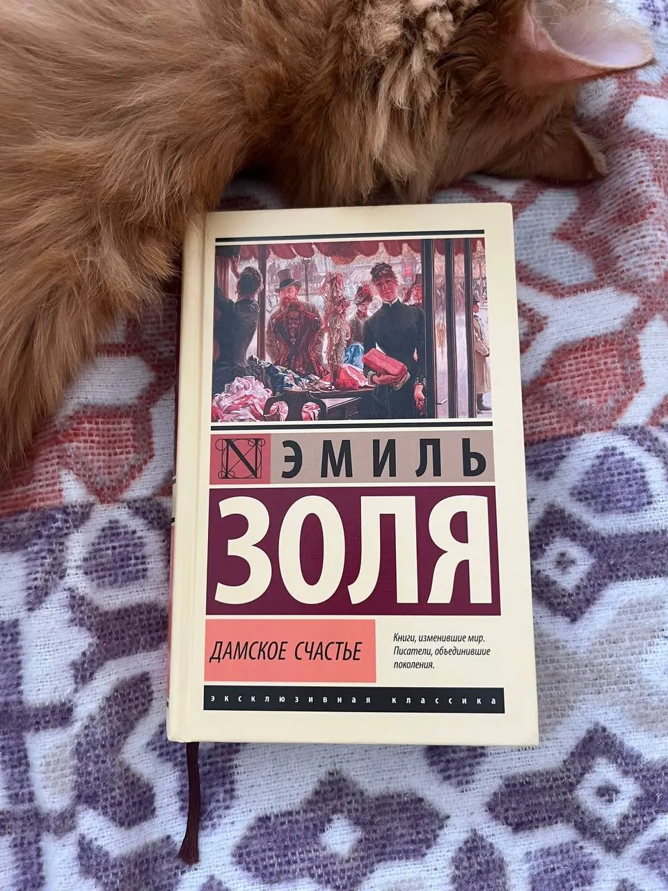 и всё-таки «Дамское счастье» Эмиля Золя 🤩🤩🤩
я уже прочитала 37 страничек и это прелесть, что такое 🤩
чувствую, надо выходить к вам в «кружочке», чтобы поделиться восторгом от встречи с этой книгой 🤩 | Сетка — социальная сеть от hh.ru