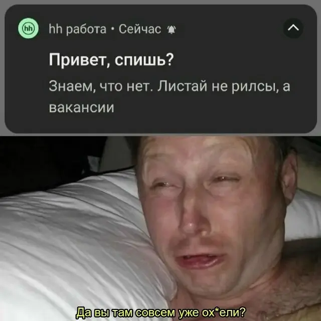 Перешли в рабочий чат (если смелый). Подписывайся 🗿 | Сетка — социальная сеть от hh.ru