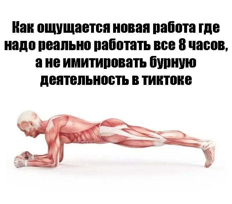 В сетке* | Сетка — социальная сеть от hh.ru