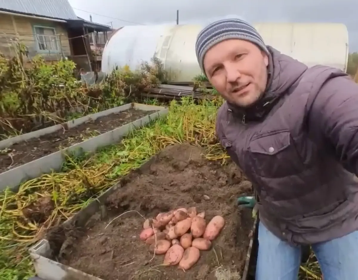 Мой необычный способ борьбы с офисным стрессом? Картошка. 🥔 | Сетка — социальная сеть от hh.ru
