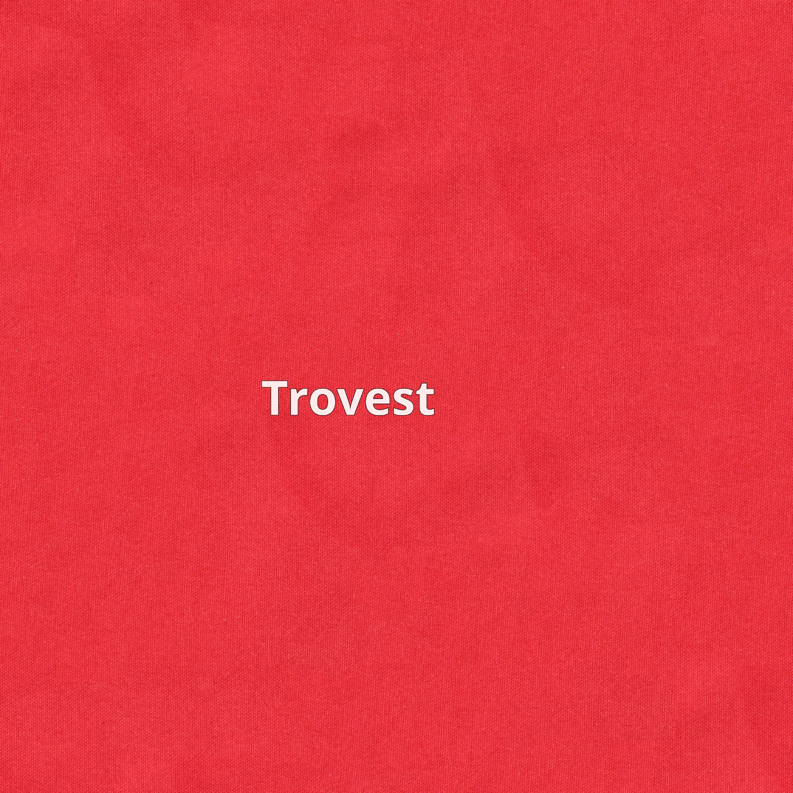Trovest – это инструмент, который помогает анализировать акции, основываясь на 10 показателях, таких как прибыльность, финансовое здоровье, рост и настроение рынка | Сетка — социальная сеть от hh.ru