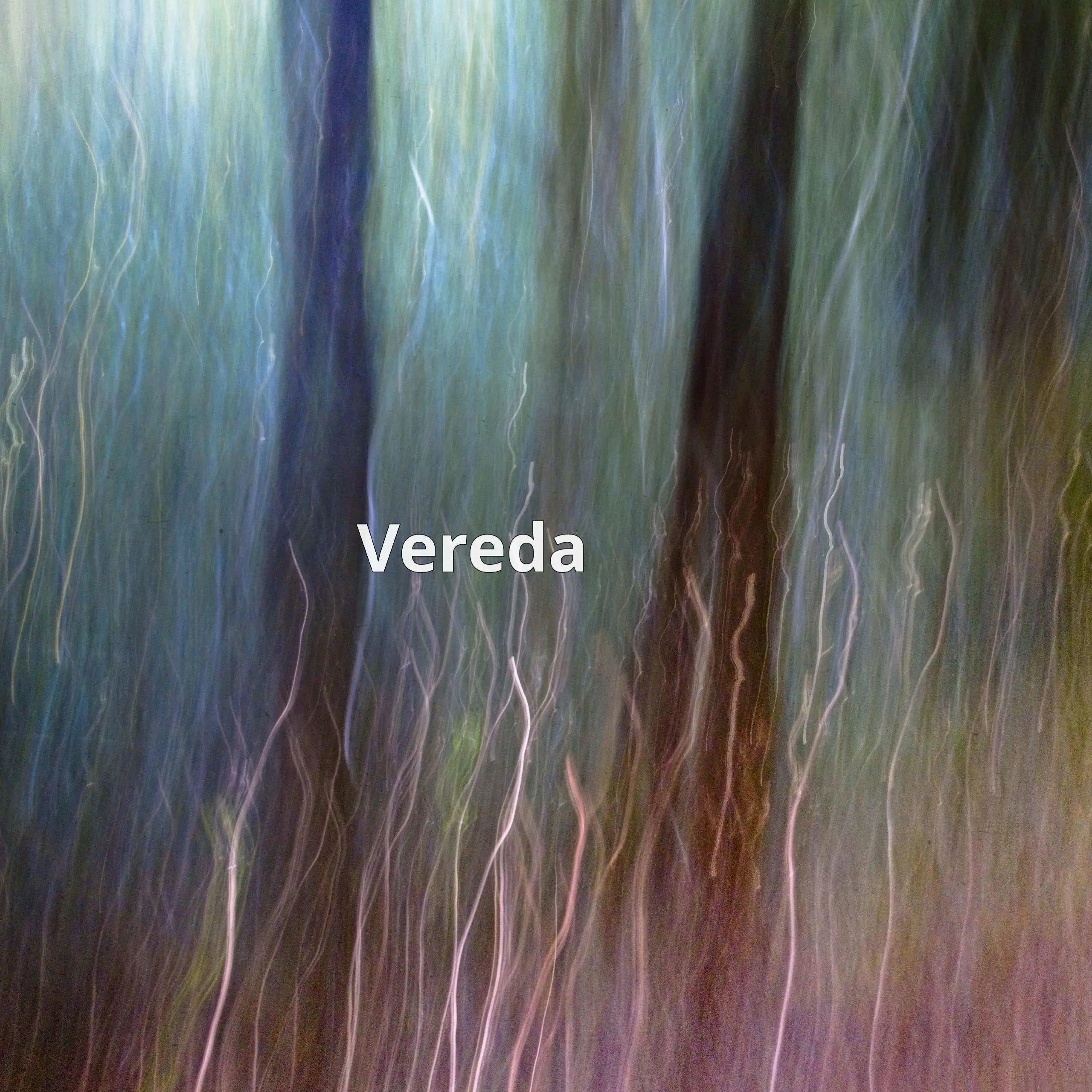Vereda – это инструмент для автоматизации проверок команд и анализа документов с помощью ИИ | Сетка — социальная сеть от hh.ru