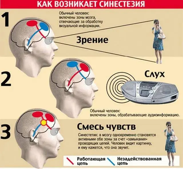 Синий понедельник
Однажды я прочитал про синестезию, и чисто по приколу начал задавать близким и знакомым странные вопросы | Сетка — социальная сеть от hh.ru