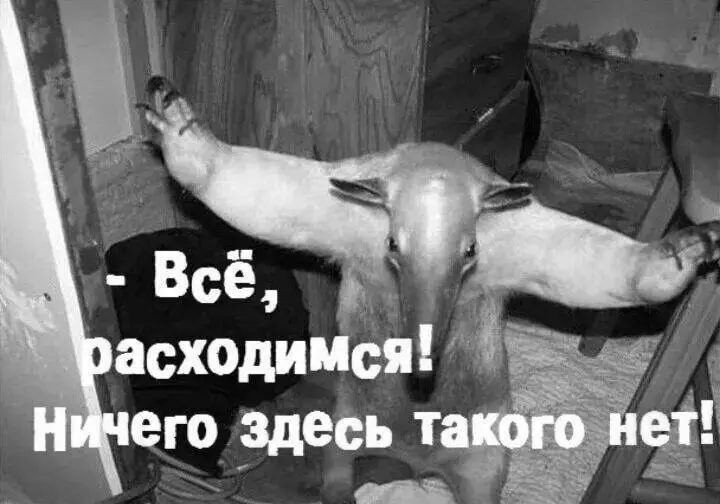 Матриархата нет | Сетка — социальная сеть от hh.ru