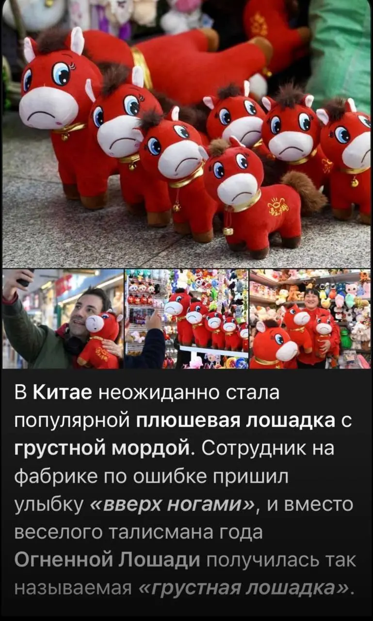 Все мы иногда «Немного грустная лошадка» 🙈 | Сетка — социальная сеть от hh.ru