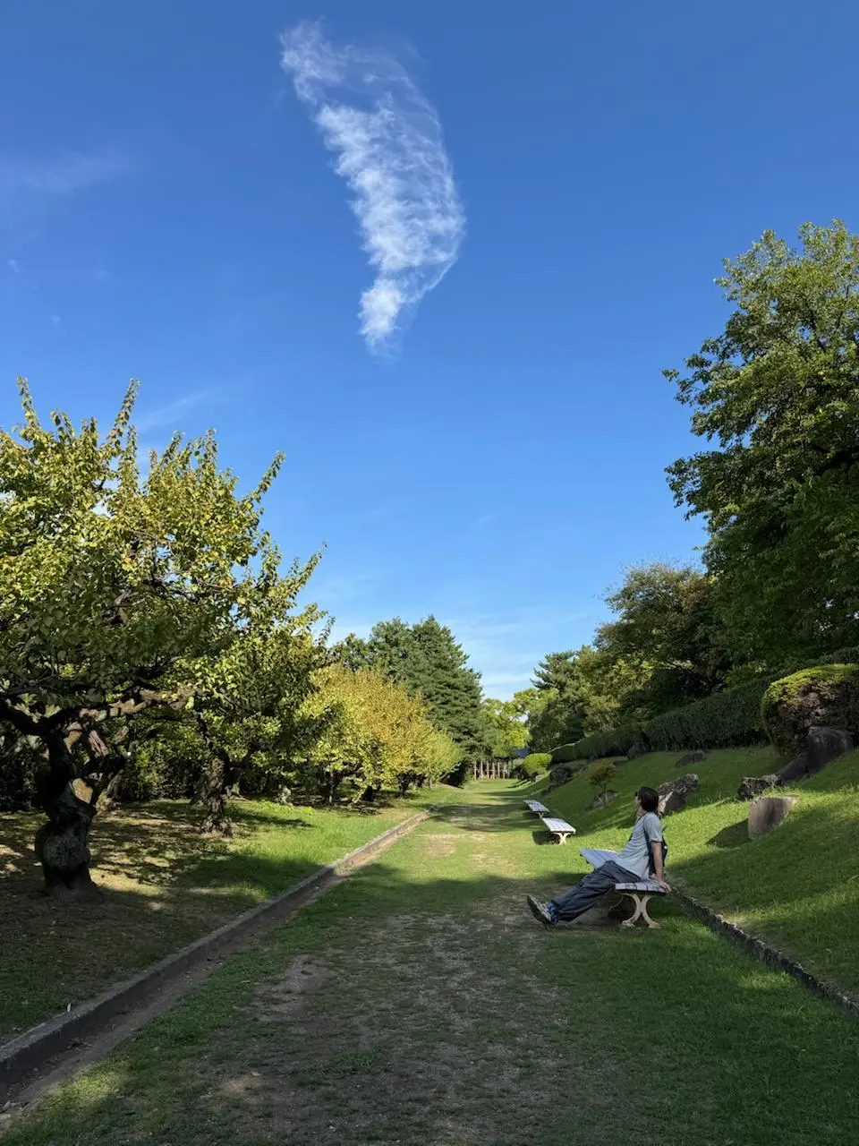 🇯🇵Нагоя
Проснулись потянулись в Осаке, хоть и не планировали! В крови стронг зеро, в желудке онигири, а в душе желание двигаться в сторону ебе… дальних городов Японии!
План на день был такой: завтрака... | Сетка — социальная сеть от hh.ru