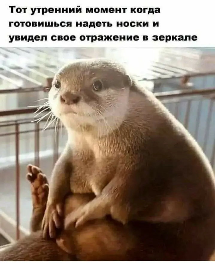 В общем пишу пост про механизм принятия обязательных решений и понял, что он требует больше времени, чем казалось сначала((((
Думаю, будет продолжение серии "Жизнь директора завода без фотошопа" | Сетка — социальная сеть от hh.ru
