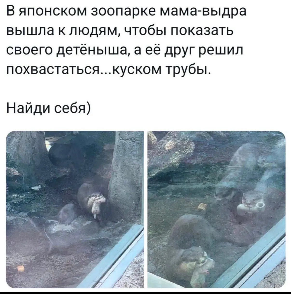 Два фитинга, а не кусок трубы. Но не суть))) | Сетка — социальная сеть от hh.ru