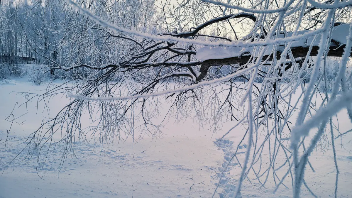 Рабочие будни | Сетка — социальная сеть от hh.ru