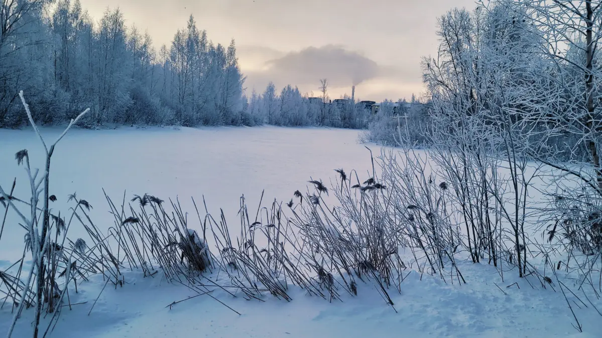 Рабочие будни | Сетка — социальная сеть от hh.ru