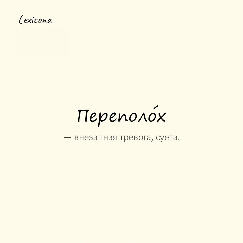 Переполо́х — внезапная тревога, суета.
Пример употребления:
Ночью в доме поднялся переполох. | Сетка — социальная сеть от hh.ru