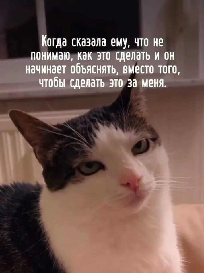 🐚🐚 6 шагов от понятной стратегии — к смелому креативу
Уверена, если я попрошу вас прямо сейчас купить билет в любую точку мира, вы откроете не сайт рандомной авиакомпании, а сервис «по поиску дешевых ... | Сетка — социальная сеть от hh.ru