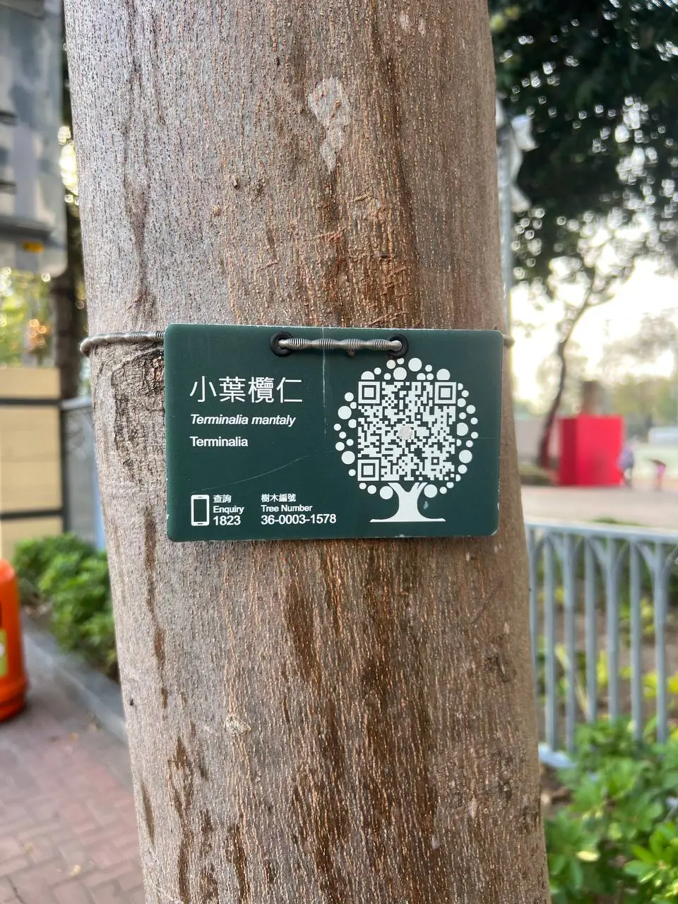 В Гонконге все деревья пронумерованы!
У каждого дерева свой ID и QR-код со ссылкой на карточку дерева в системе | Сетка — социальная сеть от hh.ru