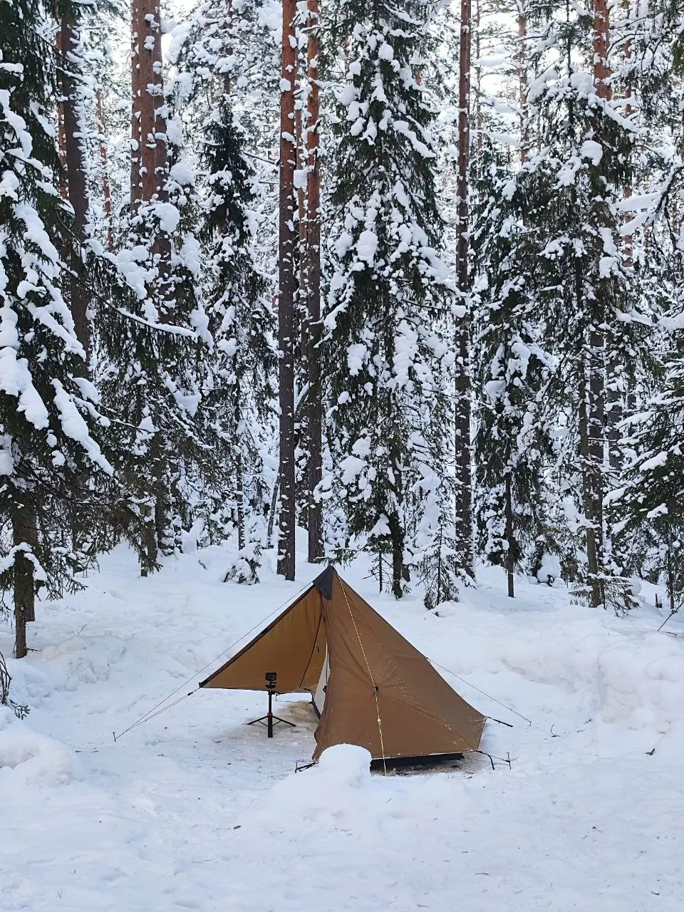 Фотоотчёт с самого морозного выезда в этом сезоне.
–19.7°C
Жёстко. Холодно. Красиво.
Пошли в пвд вместе с гидом Борисом Баланюком - устроили полноценный полевой тест новой снаряги | Сетка — социальная сеть от hh.ru