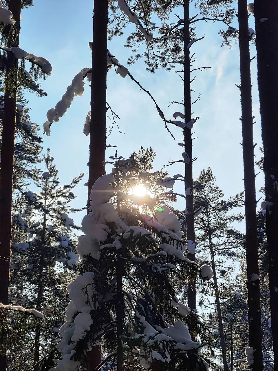 Фотоотчёт с самого морозного выезда в этом сезоне.
–19.7°C
Жёстко. Холодно. Красиво.
Пошли в пвд вместе с гидом Борисом Баланюком - устроили полноценный полевой тест новой снаряги | Сетка — социальная сеть от hh.ru