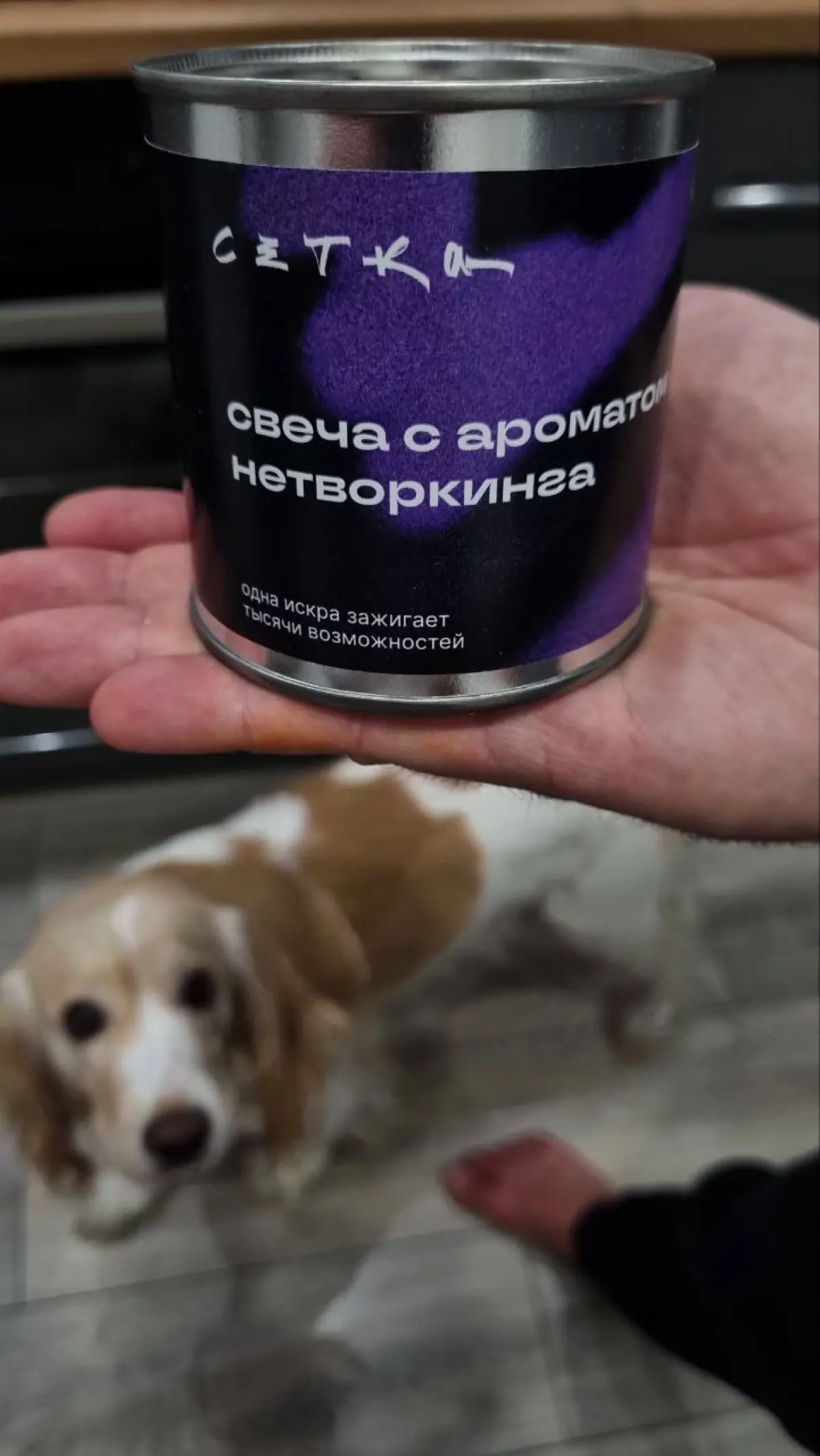 Я узнал, чем пахнет нетворкинг 👍 | Сетка — социальная сеть от hh.ru