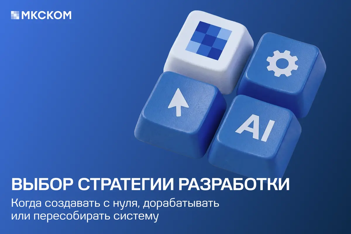 Выбор стратегии разработки | Сетка — социальная сеть от hh.ru