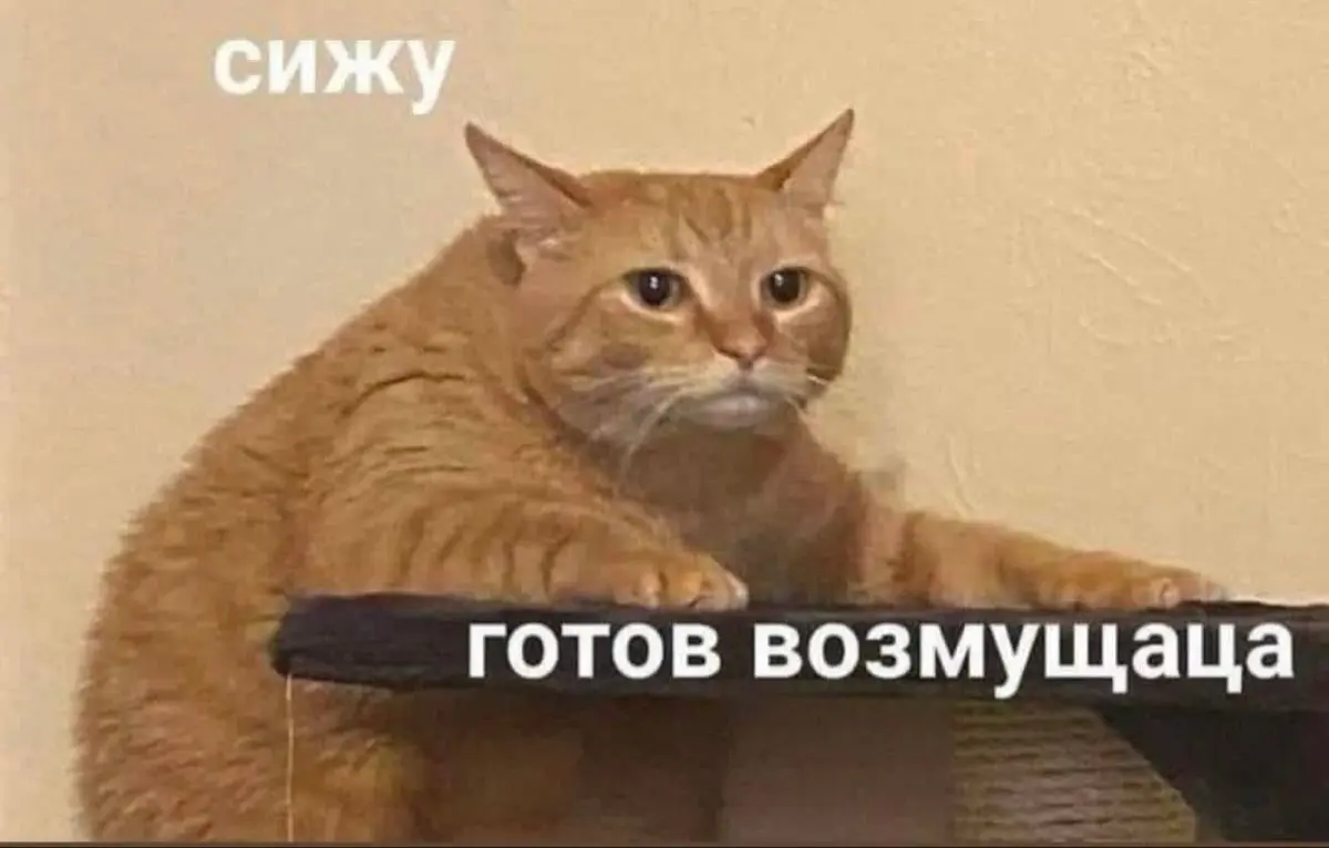 «На такие просьбы небо не отвечает»
Верующим нельзя молиться о повышении зарплаты, продвижении по карьерной лестнице и улучшении материального благополучия, заявил патриарх Московский и всея Руси Кири... | Сетка — социальная сеть от hh.ru