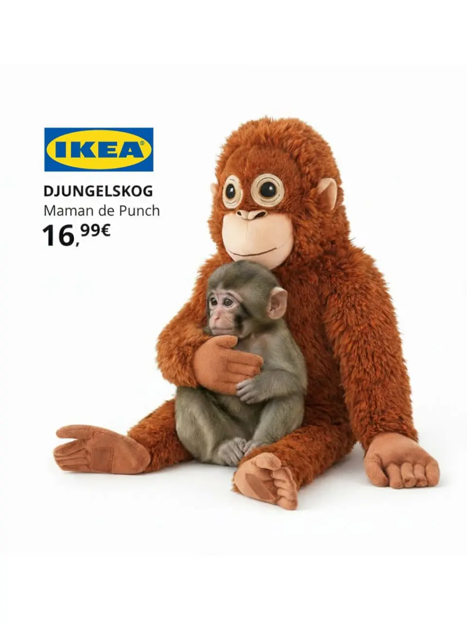 🍚#disimon
IKEA поддержала грустного малыша Панча 
На выходных весь интернет обсуждал маленькую обезьянку по имени Панч. Он везде ходит с плюшевой игрушкой орангутанга и крепко ее обнимает | Сетка — социальная сеть от hh.ru