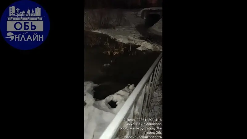 ↗ 🤬🤬🤬 Топит переход на Октябрьской!!! Будьте внимательны!!!
⚠⚠⚠
vk.ru
Подробнее на https://vk.com/ob.gorod
#городобь #городобьонлайн #толмачево | Сетка — социальная сеть от hh.ru