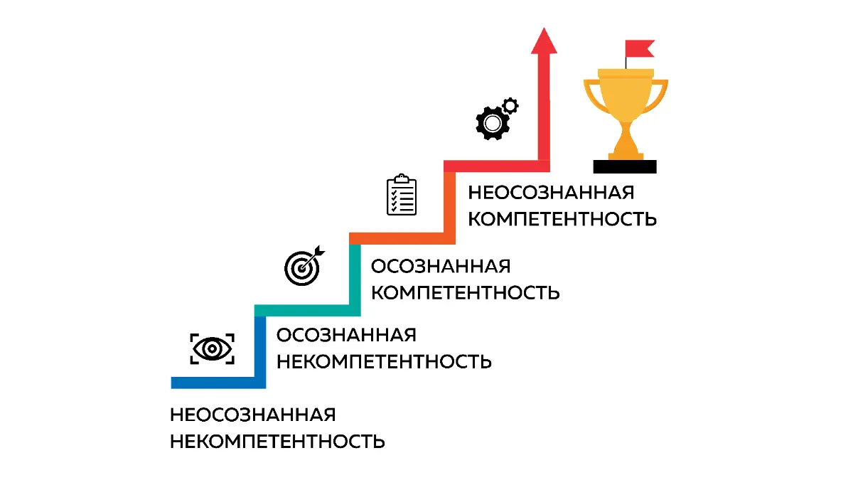 Парадокс некомпетентности | Сетка — социальная сеть от hh.ru