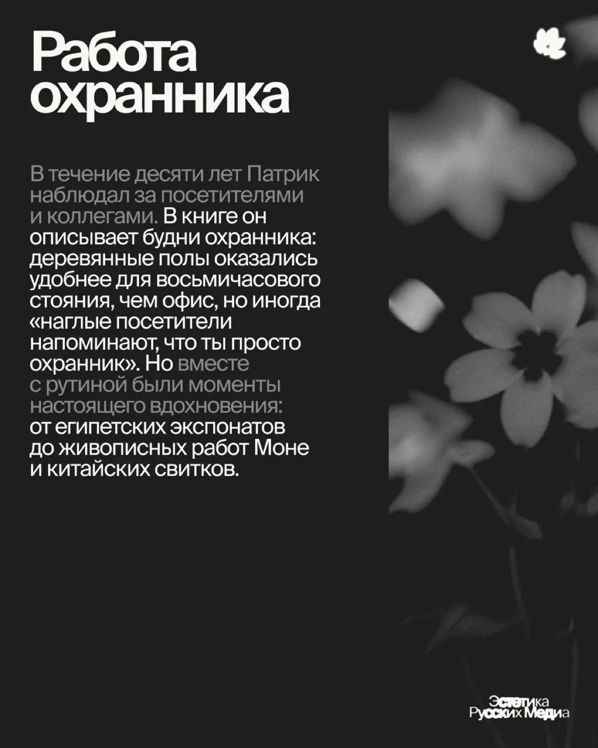 Вместо карьеры в медиа, редактор New Yorker выбрал… | Сетка — социальная сеть от hh.ru