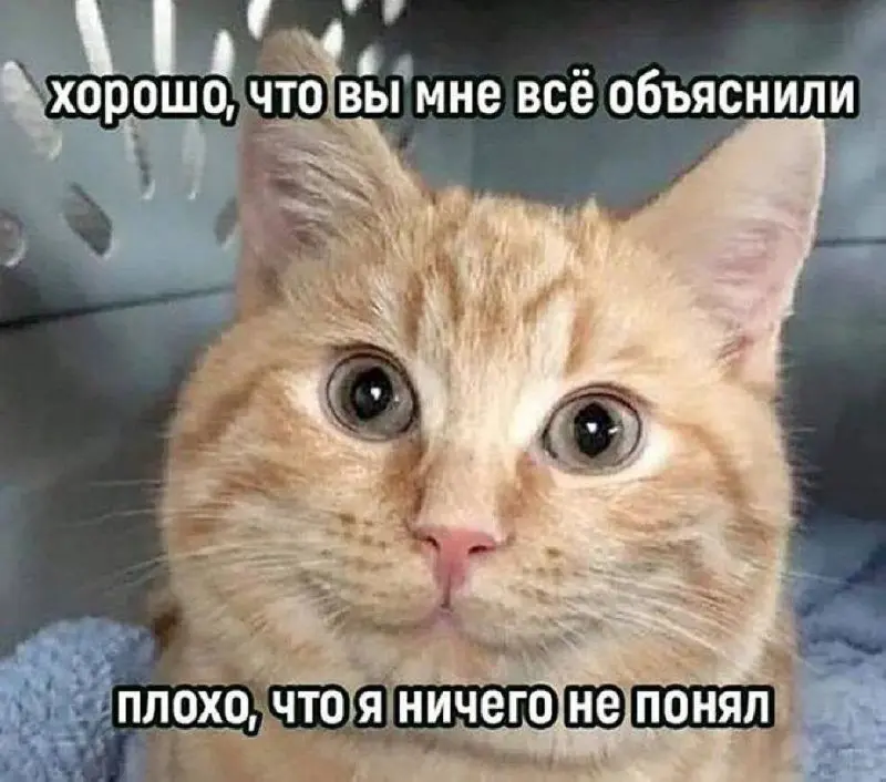 «Сделай неправильно»: Как плохая постановка задачи убивает деньги, время и мотивацию🪦
Мы привыкли думать, что провал проекта — это плохой исполнитель | Сетка — социальная сеть от hh.ru